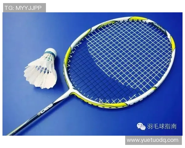 广州羽毛球队战术解析：从技术细节到团队协作的全面探讨