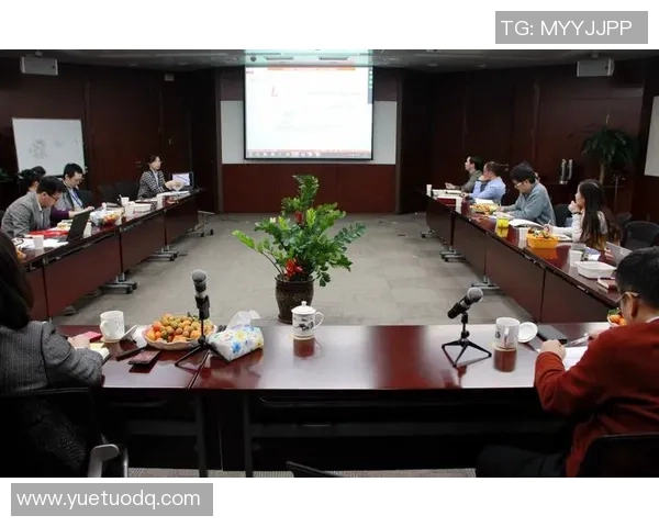 成都排球队球员个人能力深度对比与分析探讨