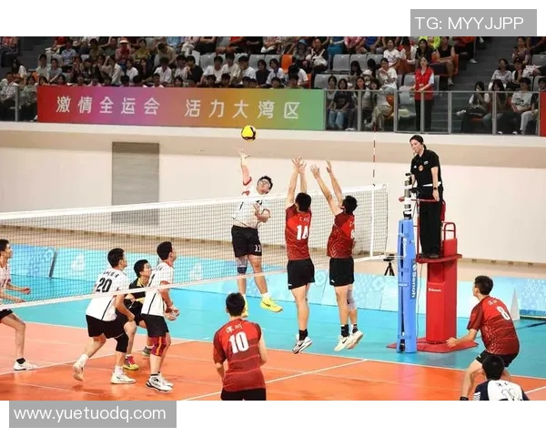 排球团队协作实力榜单揭晓北京排球队荣获第五名佳绩