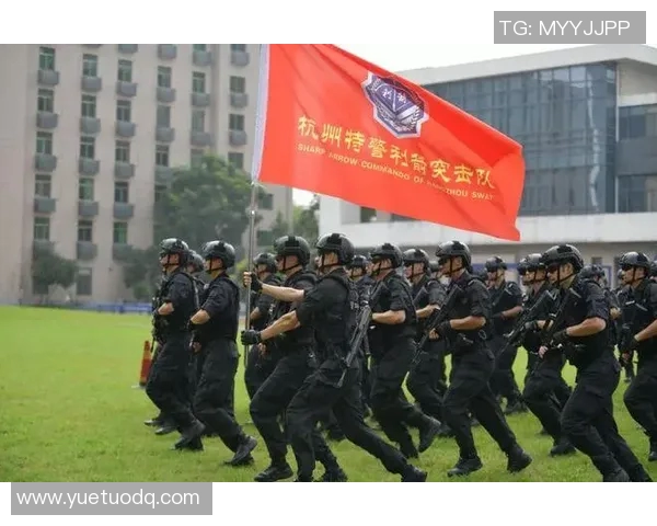 杭州飞盘队反击战术解析与实战应用探讨