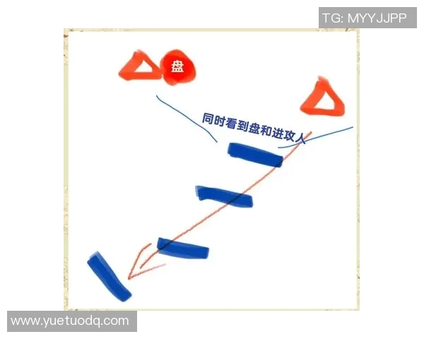 武汉飞盘队区域防守战术解析与实战应用探讨