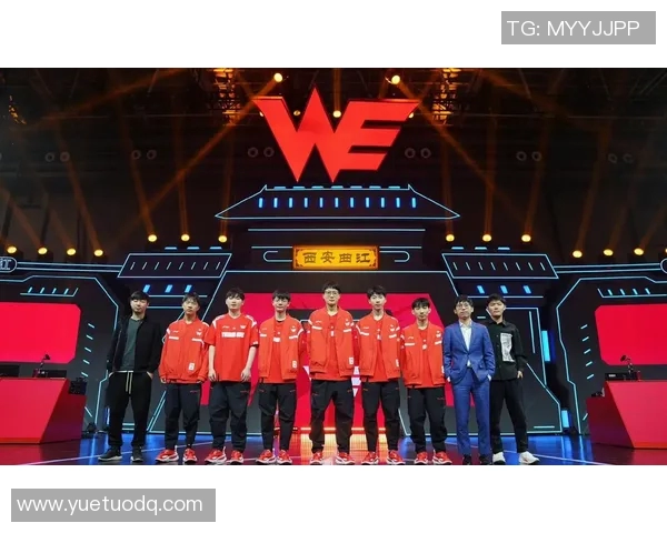 英雄联盟战队实力对比分析WE战队表现创新高引发关注