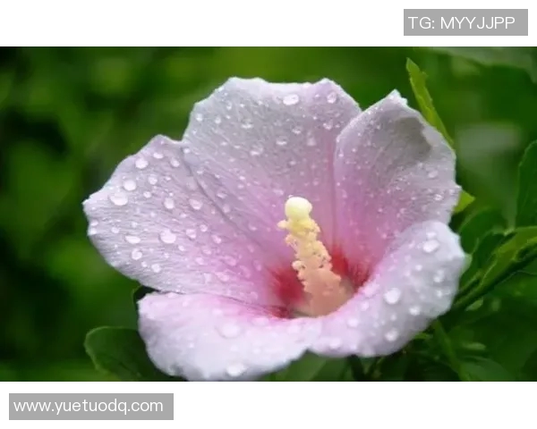 舞动人生：吴娜在街舞世界中的追梦旅程与心灵对话