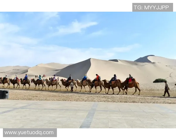 西安滑板队的灵活性探秘与发展之路分析 西安滑板队的灵活性探秘与发展之路分析