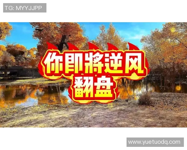 自由人与风暴的较量即将开启谁能在赛场上逆风翻盘