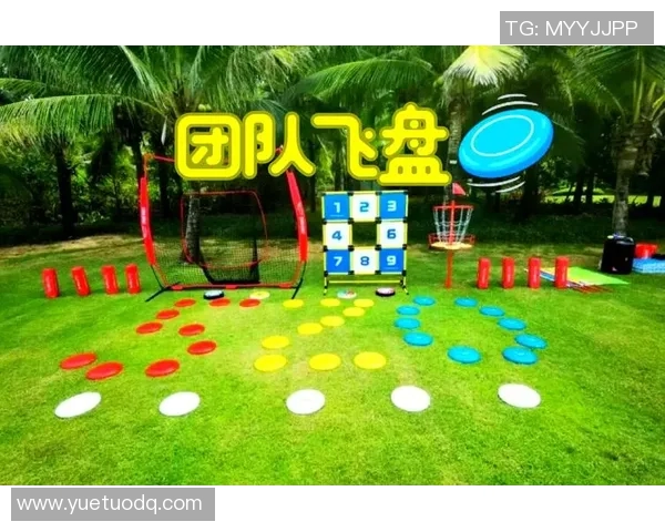 飞盘技术实力榜单权威发布揭示顶尖选手与团队实力对比分析 飞盘技术实力榜单权威发布揭示顶尖选手与团队实力对比分析