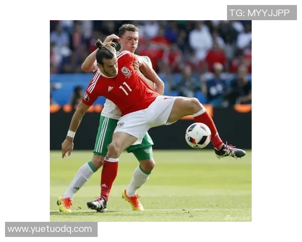 北爱尔兰与韩国精彩对决录像回放分析及赛后点评