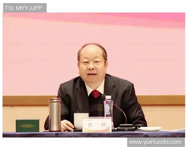 张帆:在风雨中坚定前行的青年领袖与他的奋斗故事 张帆:在风雨中坚定前行的青年领袖与他的奋斗故事
